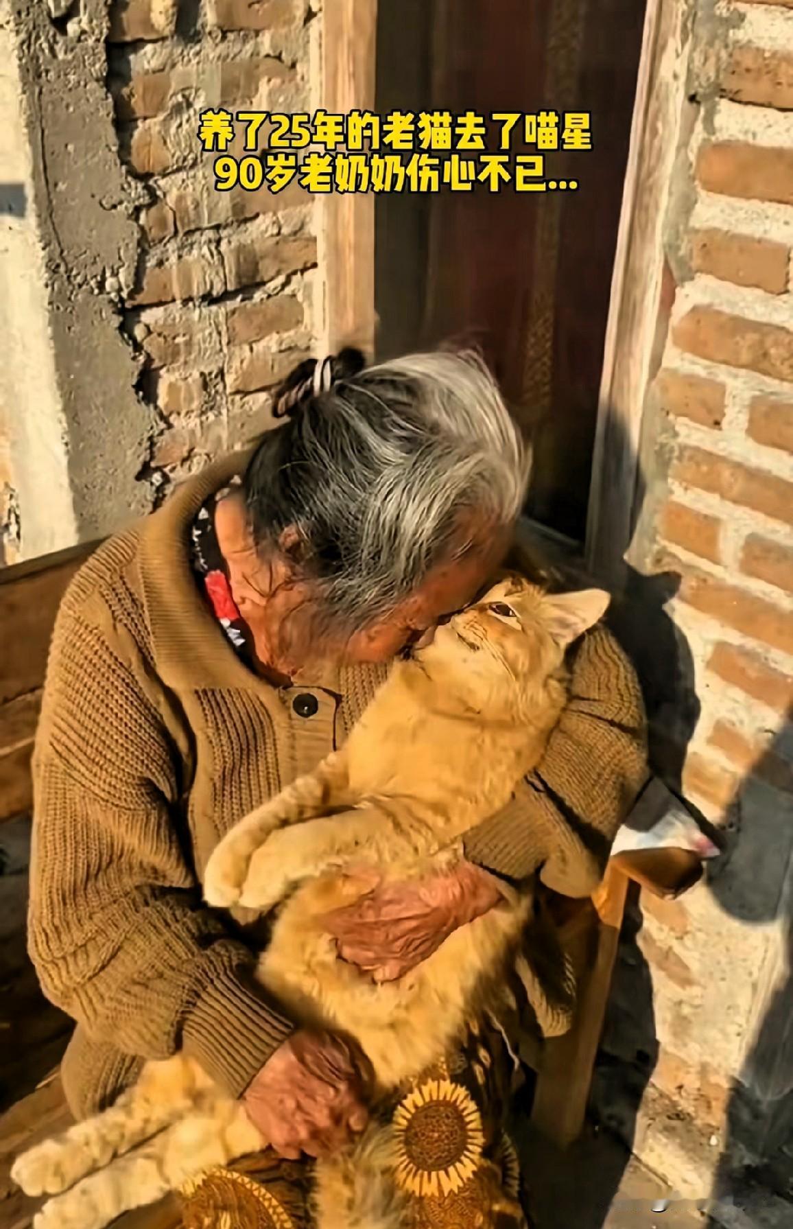 看哭无数人！九十岁老人抱着陪伴自己猫咪，不舍全部藏在拥抱里。
 
二十五年朝夕相