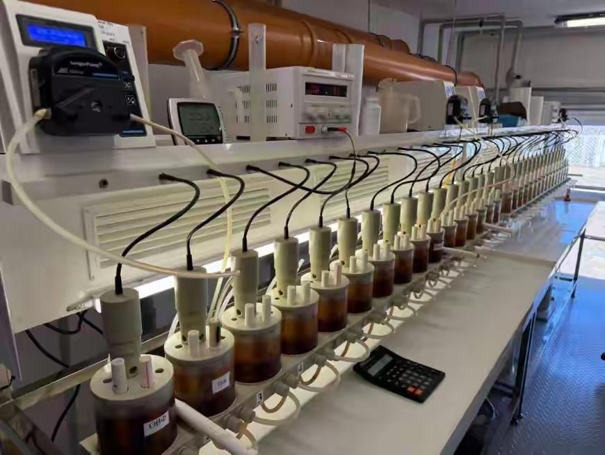 绍伊古女儿收到普京委任状，年仅35岁就被中央委以重任
这个决定背后，究竟释放了什