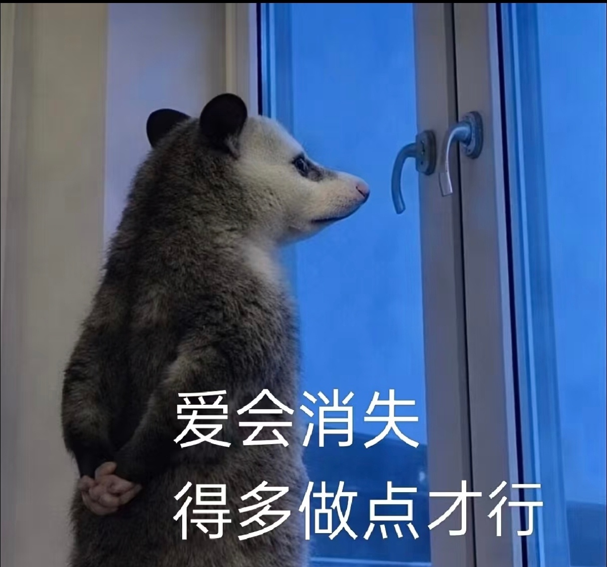 半夜看完李星野的文章，再次感慨鹅腿阿姨的绿汁鸭腿，就好像中华小当家里黑暗料理界的