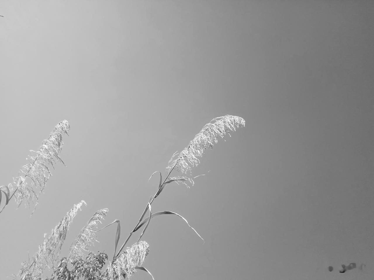 恶有恶报，日本人，侵略别国，犯下滔天大罪，威力巨大的原子弹，巨大的创伤，让日本人