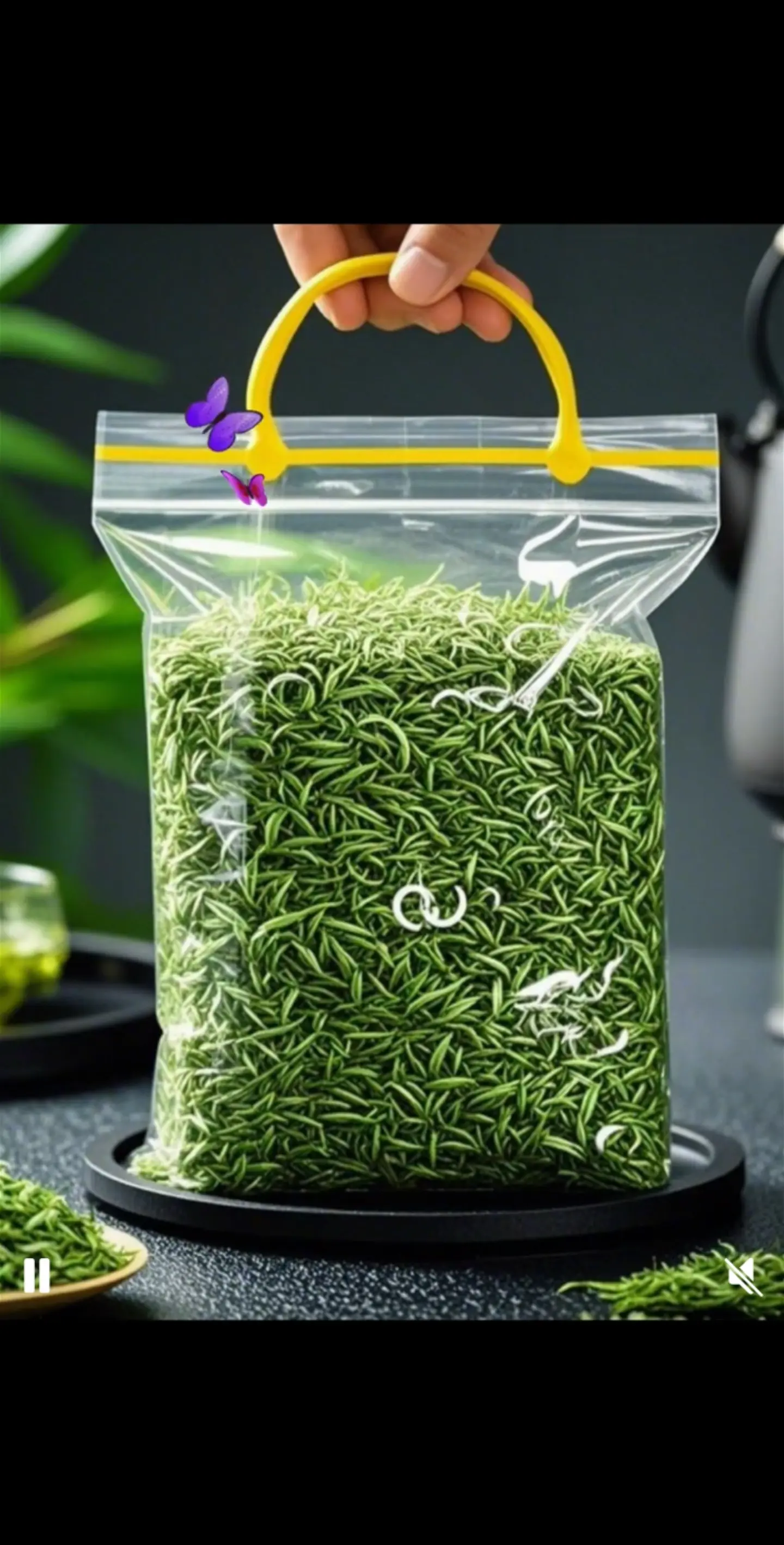 好东西一起分享 茶 茶生活 好物推荐🔥 好物分享