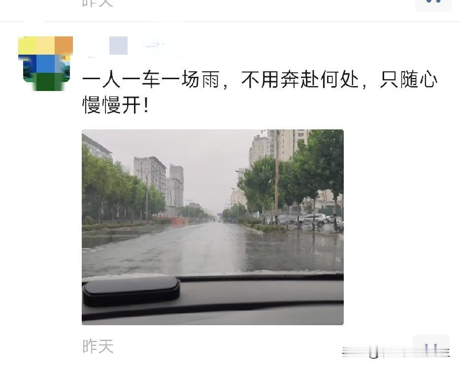 我承认我手欠了。
一呲一滑一身泥，躺在沟里挺好地，只想淋淋雨。