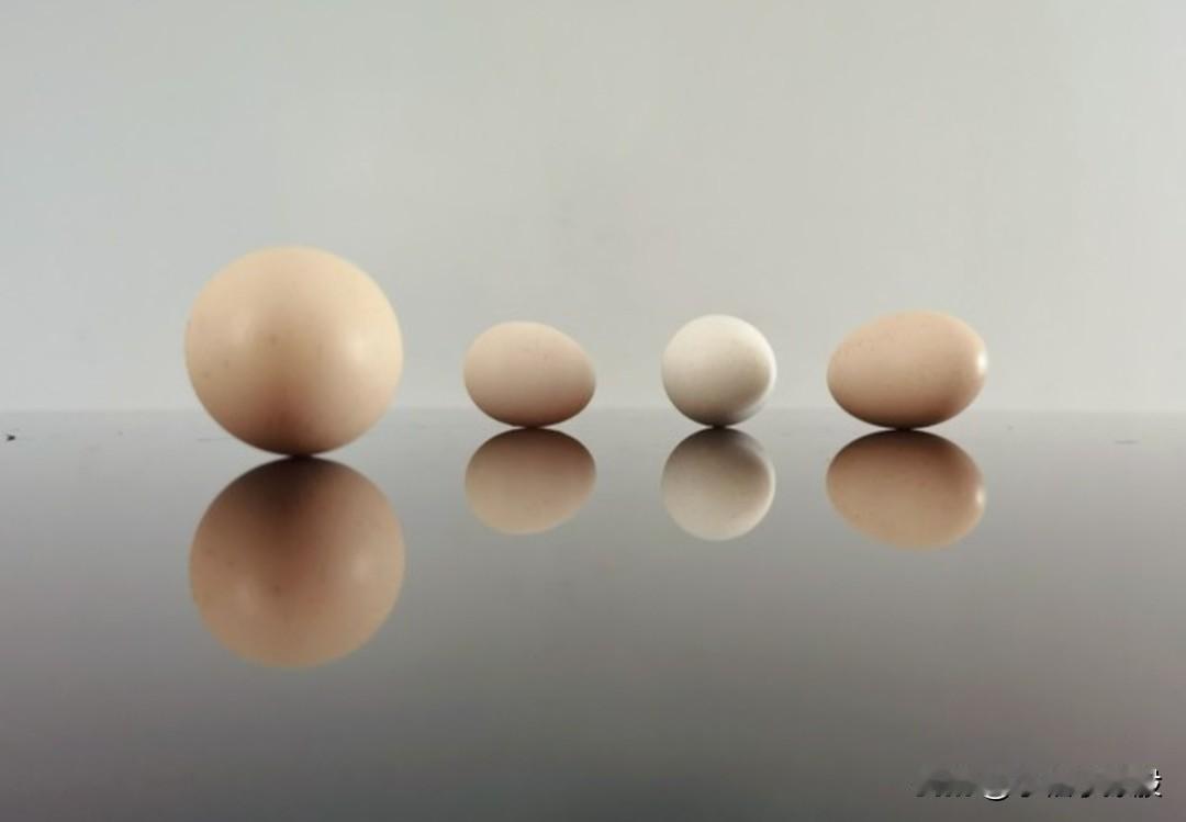 普跌之前不说预判，也不说对应策略，今天随便聊聊短线的玩法，做中线的要点，大趋势就