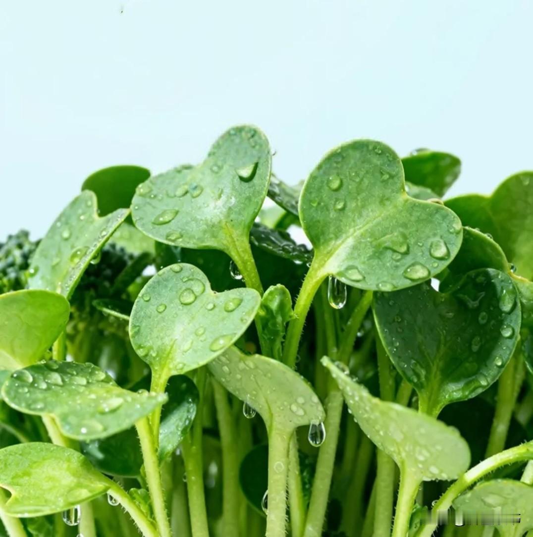 不到万不得已，千万别亮自己的底牌
 
做人最忌讳的，就是一上来就把自己掏心掏肺，