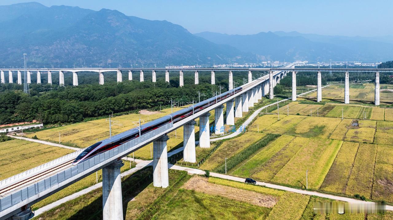拍摄飞驰的列车比乘坐火车更来的解压#中国铁路拍# #高铁赏景# #铁路高架桥。#