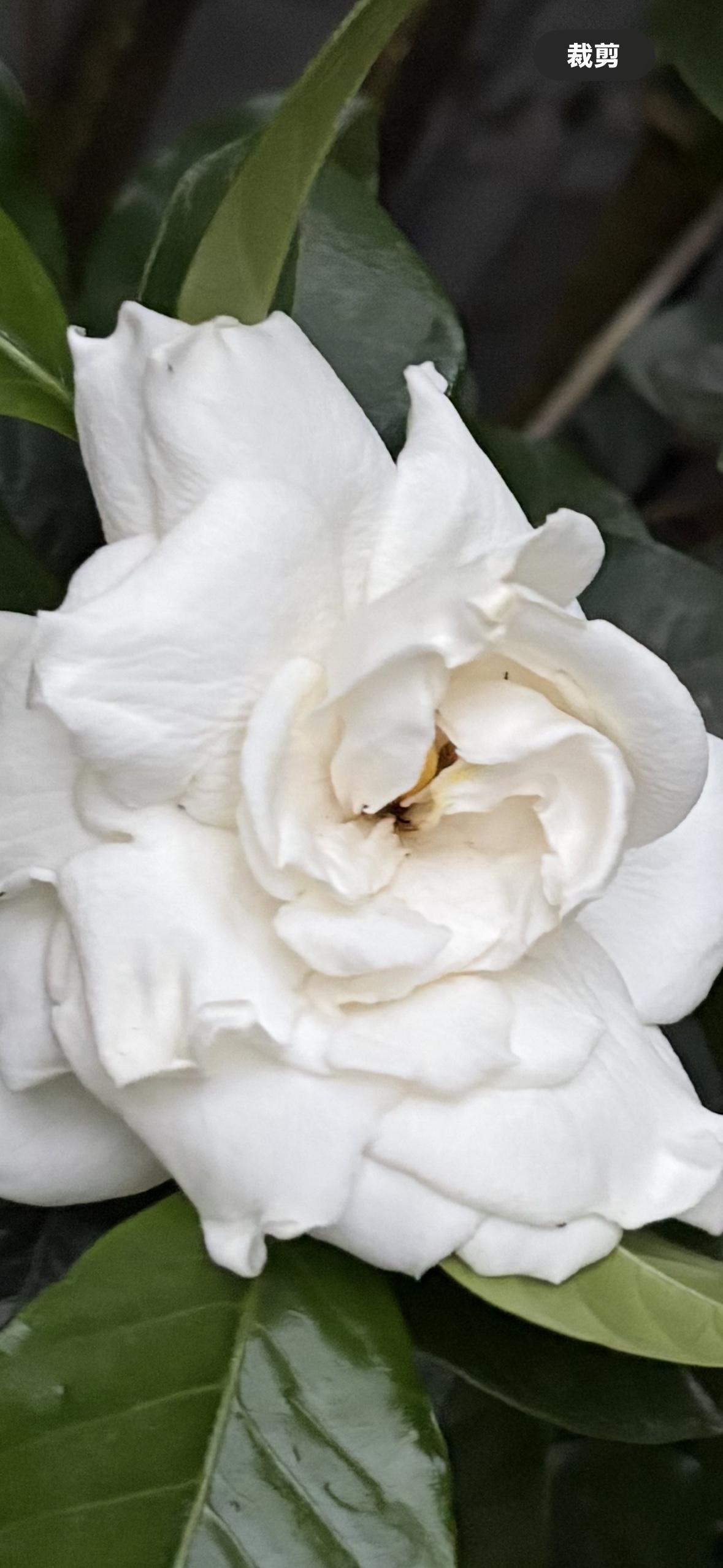 经过岁月打磨后我认为婚姻最好还是要一定的经济基础
经过岁月的洗礼，我越来越深刻地