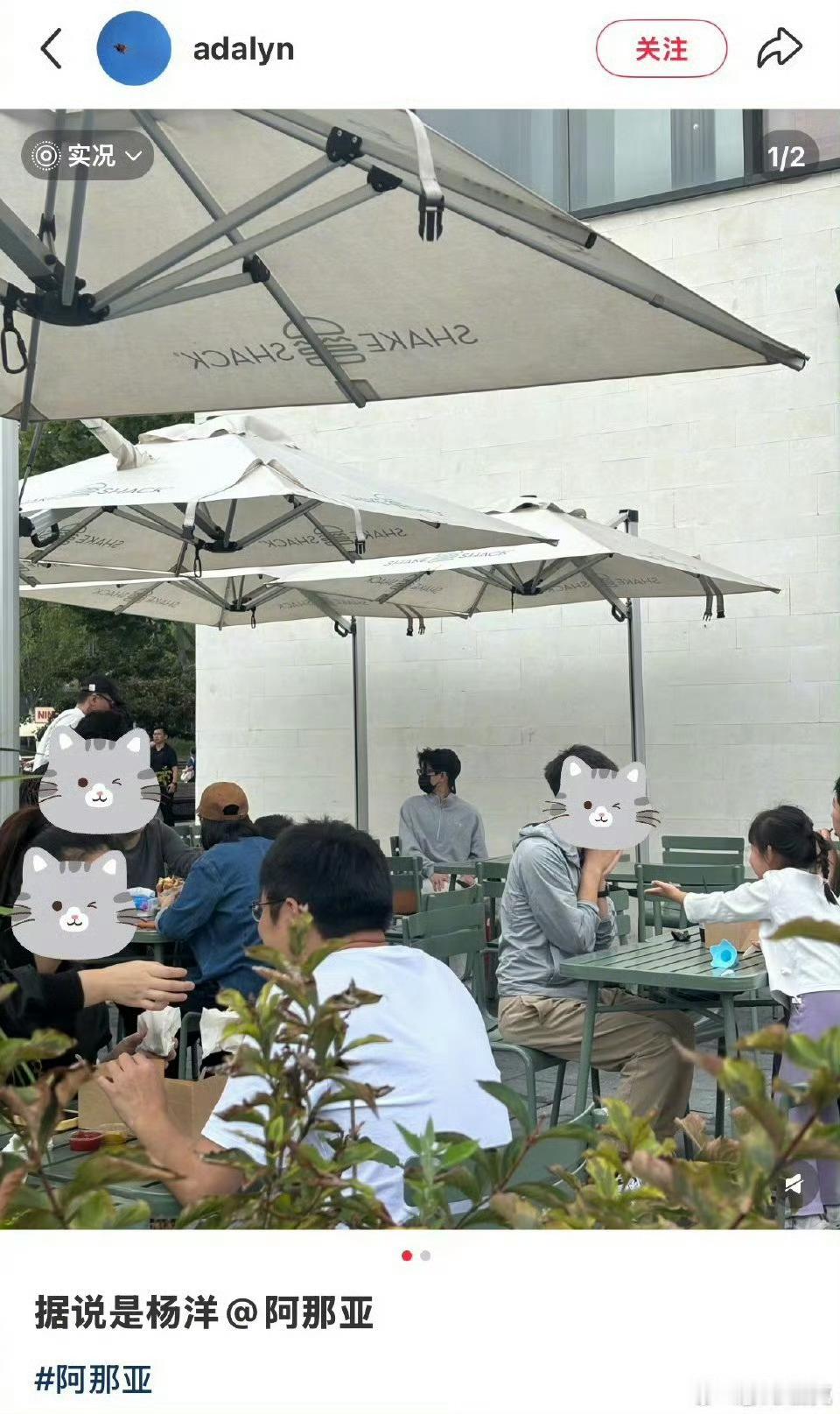 偶遇杨洋阿那亚用餐网友在阿那亚偶遇杨洋偶遇杨洋阿那亚用餐，玩的开心，[太开心][