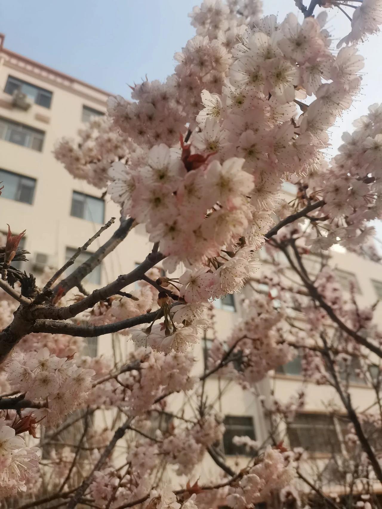 今日心情[笑]
自我调节还不错，用的呼吸法，深吸一口气，猛吸，吸到底，再吐出来。