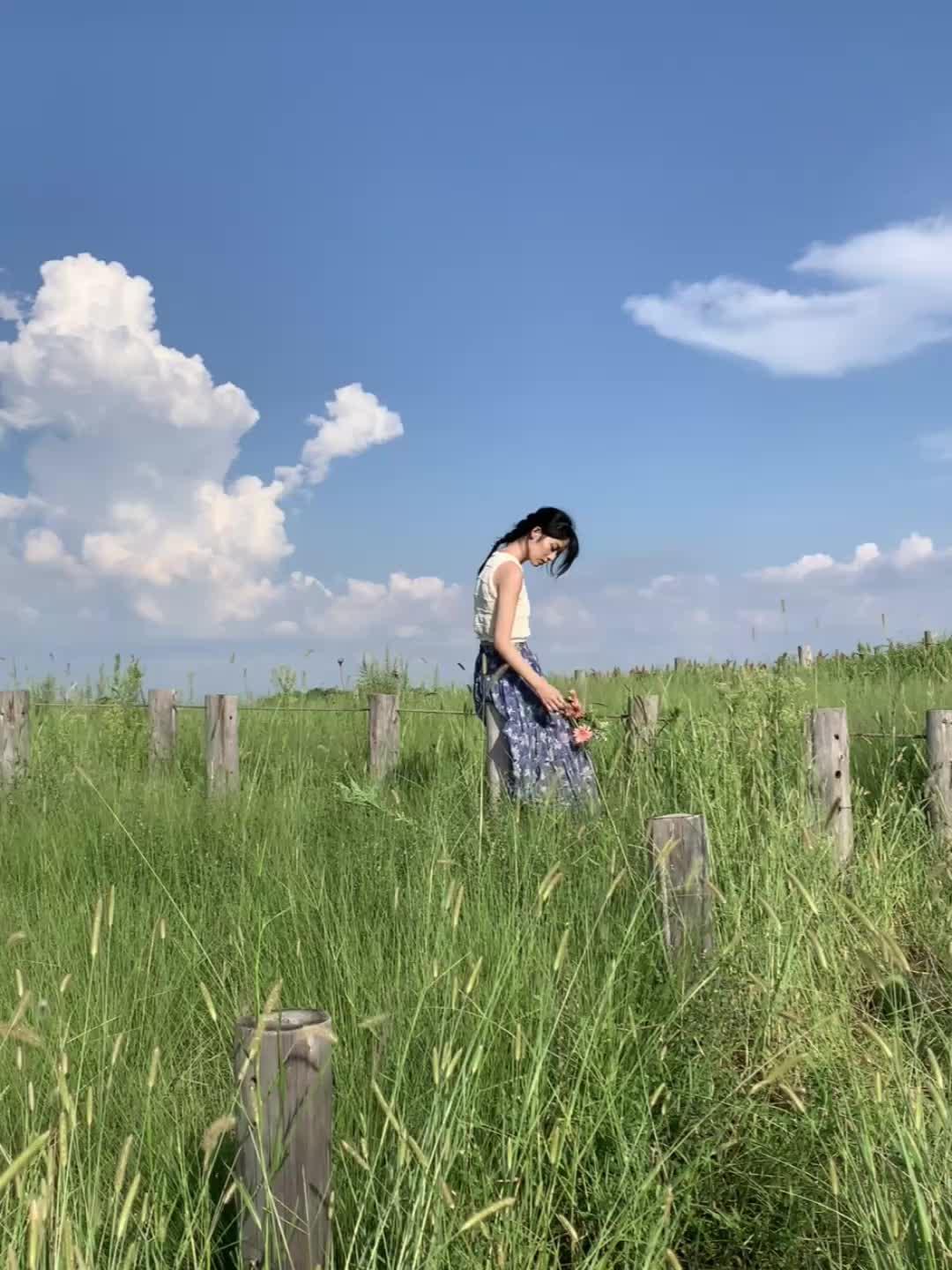 风和我都是自由的 🧚‍♀️