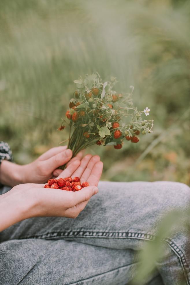 过去的让它过去，已浪掷那么多时间，糟蹋那许多眼泪，理应忘记。——亦舒 
