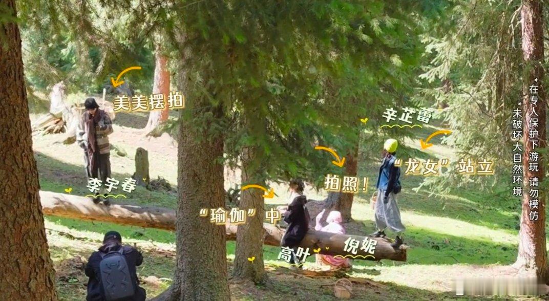 李宇春站跷跷板上给辛芷蕾高叶出片向野的我们收官路透向野的我们很难不心动的收官路透