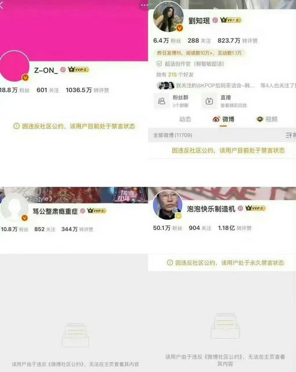 柳智敏大粉已被禁言 这是咋了