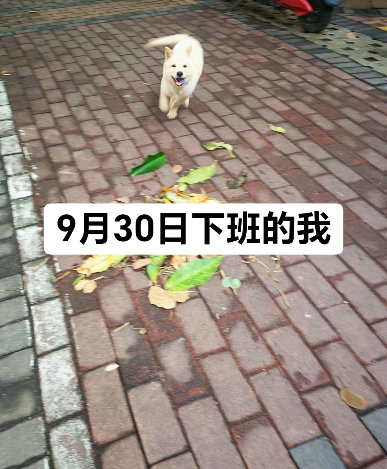 不敢想象9月30号下班的我有多兴奋