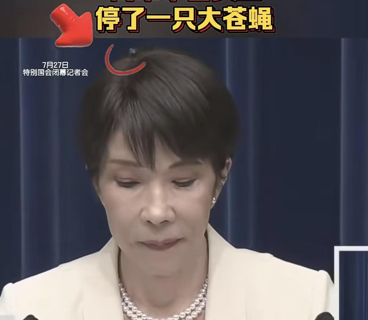何为一丘之貉，臭气相投？
真是让人开眼了，见证了历史，
俩个人的头上都落了一只苍