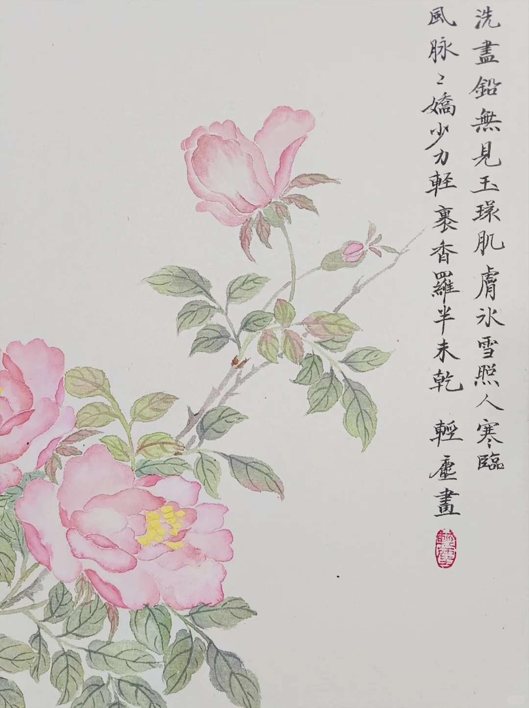 没骨画‖粉粉的月季花