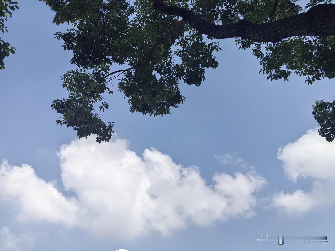 上午九点出头，突然接到退协老大钱老师的电话，说是我们语文组的前辈马老师走了！
