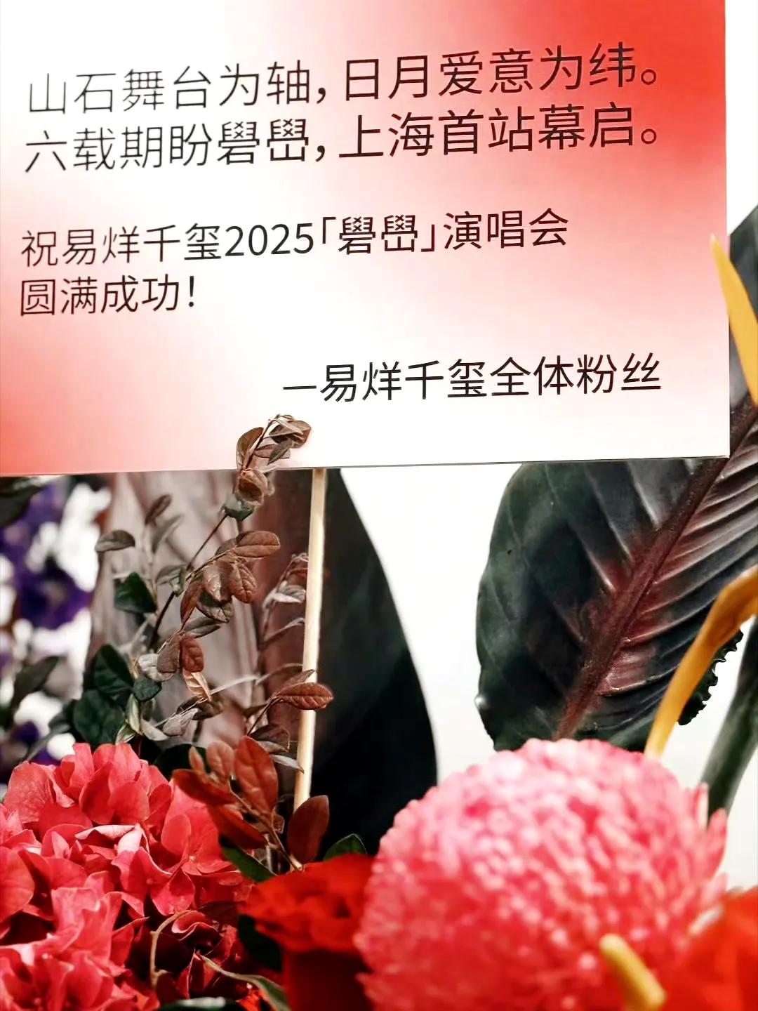 当「碧围」演唱会的灯光刺破上海夜空，易烊千玺与粉丝的六年约定终于落地。粉丝们以