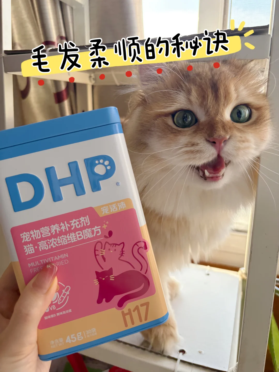 来，来，说说猫咪毛发柔顺的秘诀～‼️