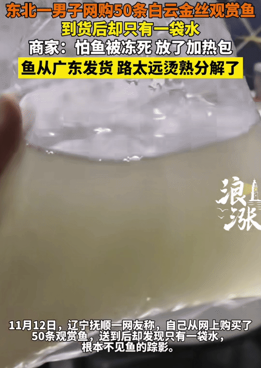 “笑不活了！”辽宁抚顺，男子网购50条白云金丝观赏鱼。不料，到货后却只有一袋水，