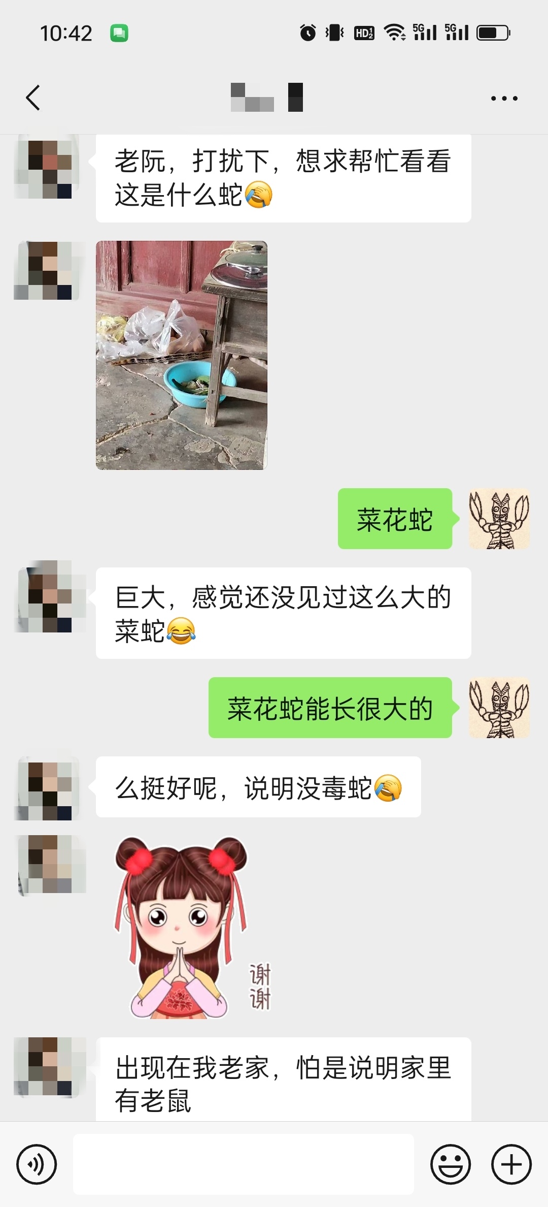 从小的爱好，有时会有朋友来问，不得不说他们老家那边蛇真多，据说是之前放生了好几车