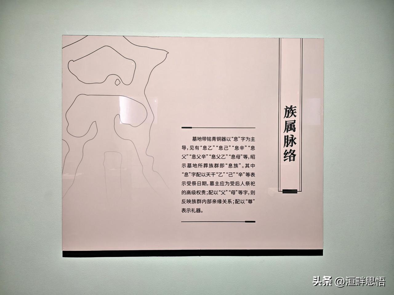 南土有息·信阳罗山天湖息国墓地特展（五）