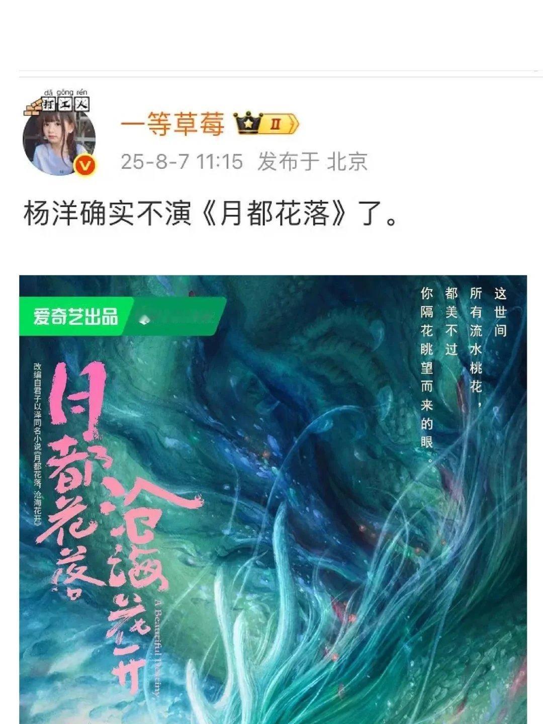 🍉杨洋不演月都花落了。 ​​​