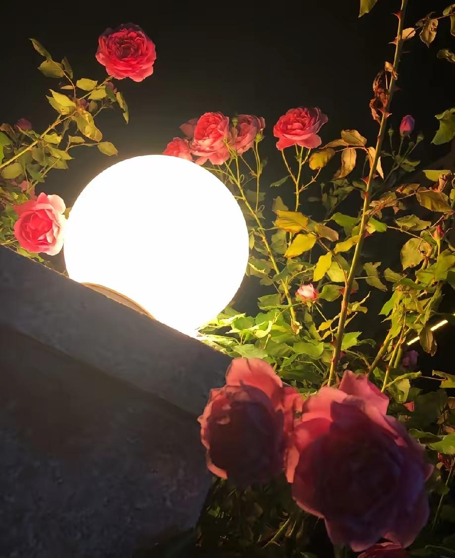 有人说，关了灯，女人都一样。说实话，真的不一样。
昨天公司聚餐，一男同事喝多了，