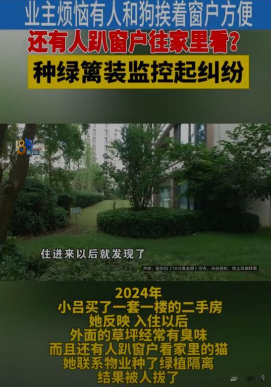 浙江宁波，吕女士买了一套二手房，可是入住以后，动物和人都来她家门前的草坪上方便，