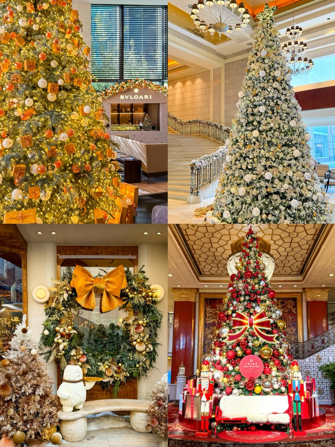 先出发再说🎄1天打卡N颗圣诞树的路线🧑‍🎄