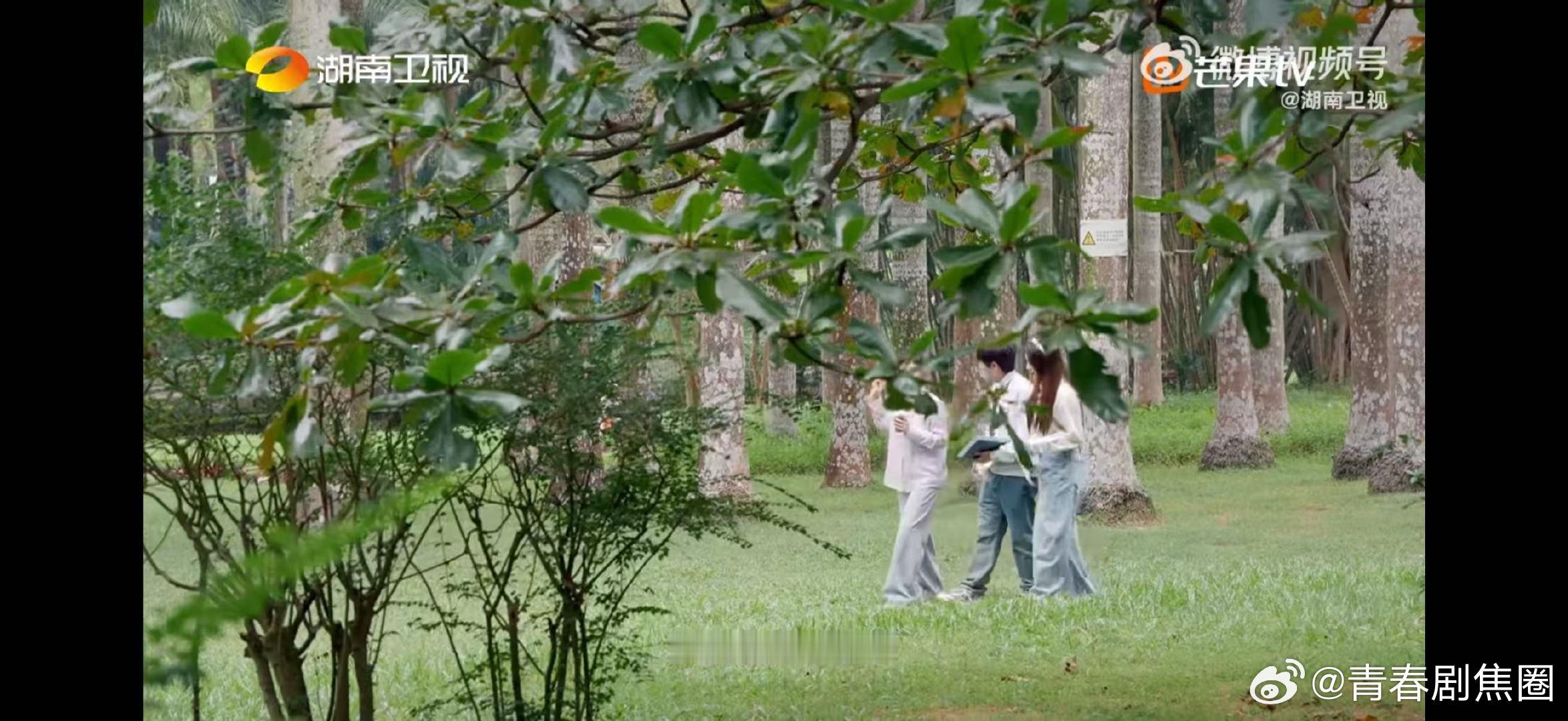 武艺遇到喜欢的人会主动湖南卫视背后武艺这番话太实在了！先厘清内心需求，遇到对的人