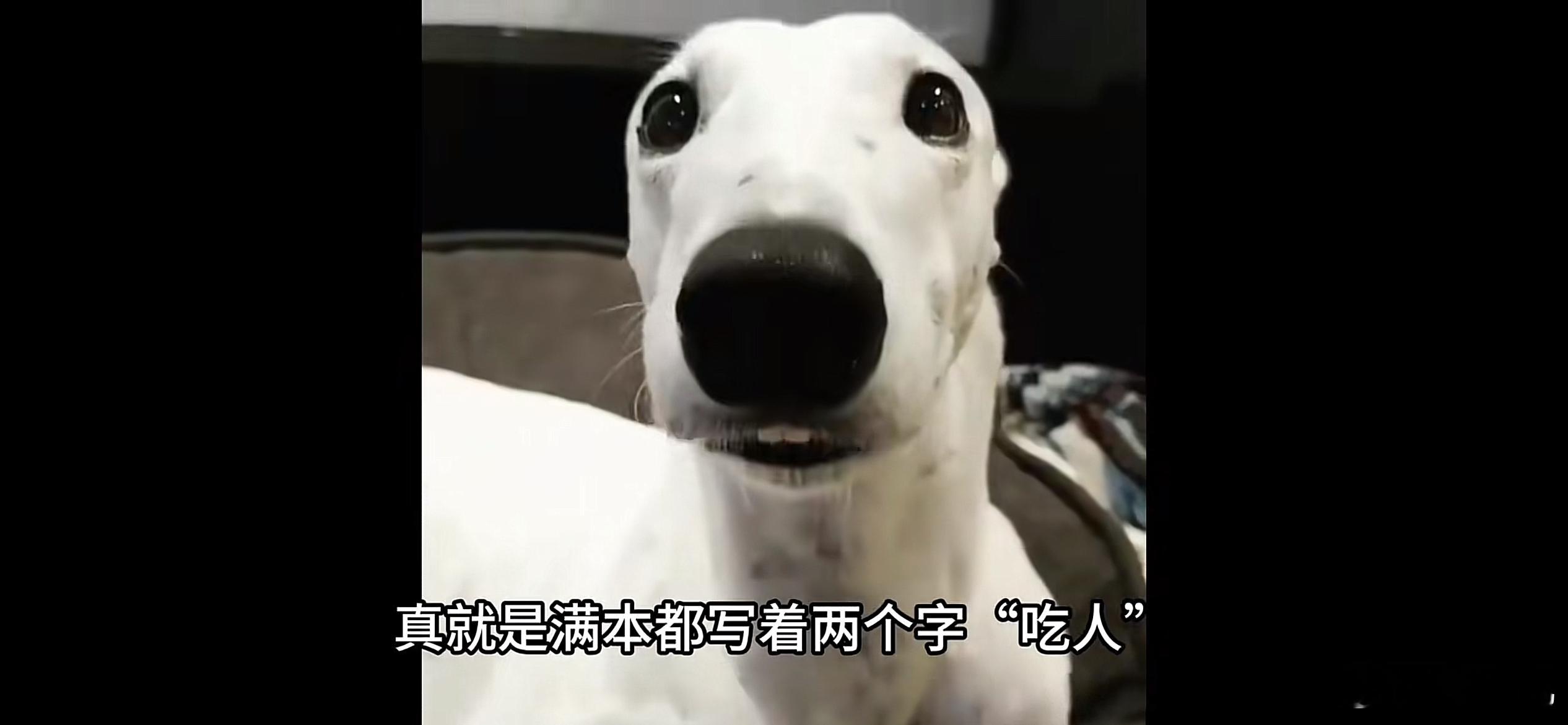 商家半年内被同一人仅退款225个快递宋丹丹小品薅羊毛的故事… 