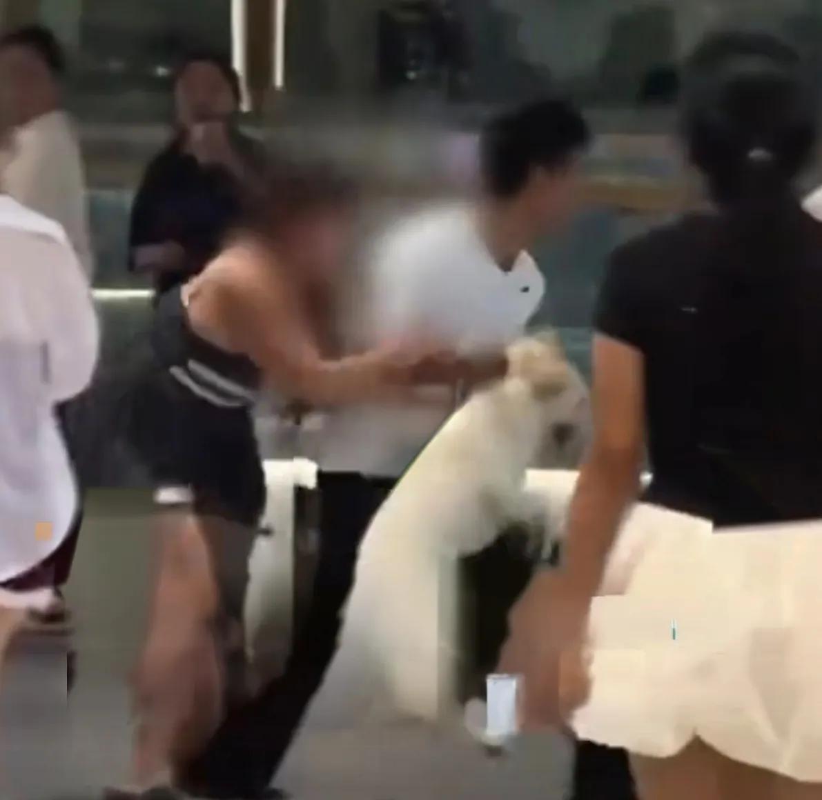一个商场遛狗不栓绳、一个盛怒之下摔狗打人，警方处理很公平各打五十大板！

这起事