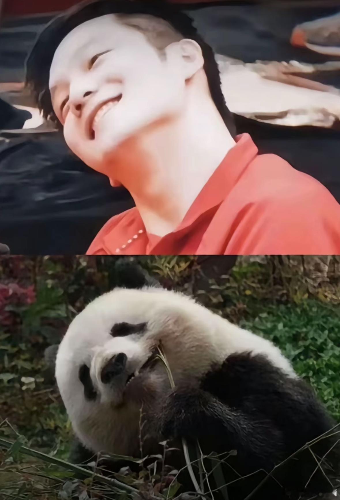 咚咚宝宝你就是个熊猫🐼