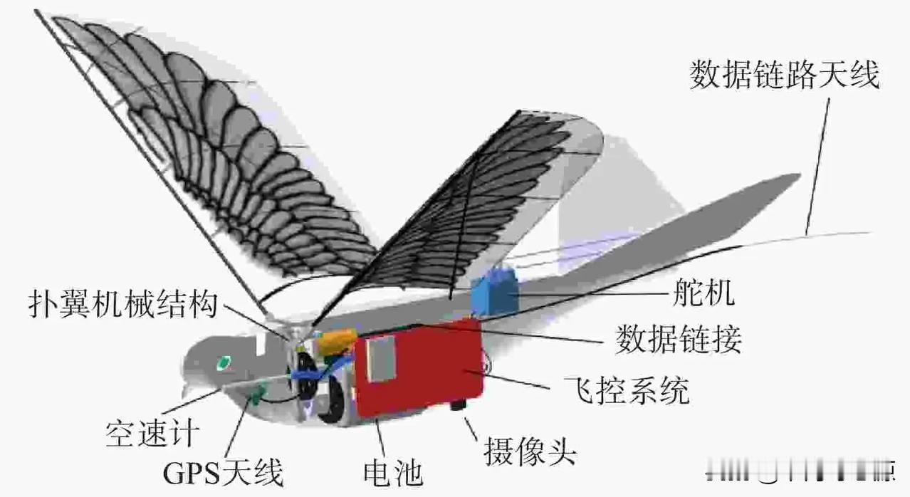 这或许是本世纪最难防御的武器。它并非导弹或无人机，而是我国曝光的一款微型仿生昆虫