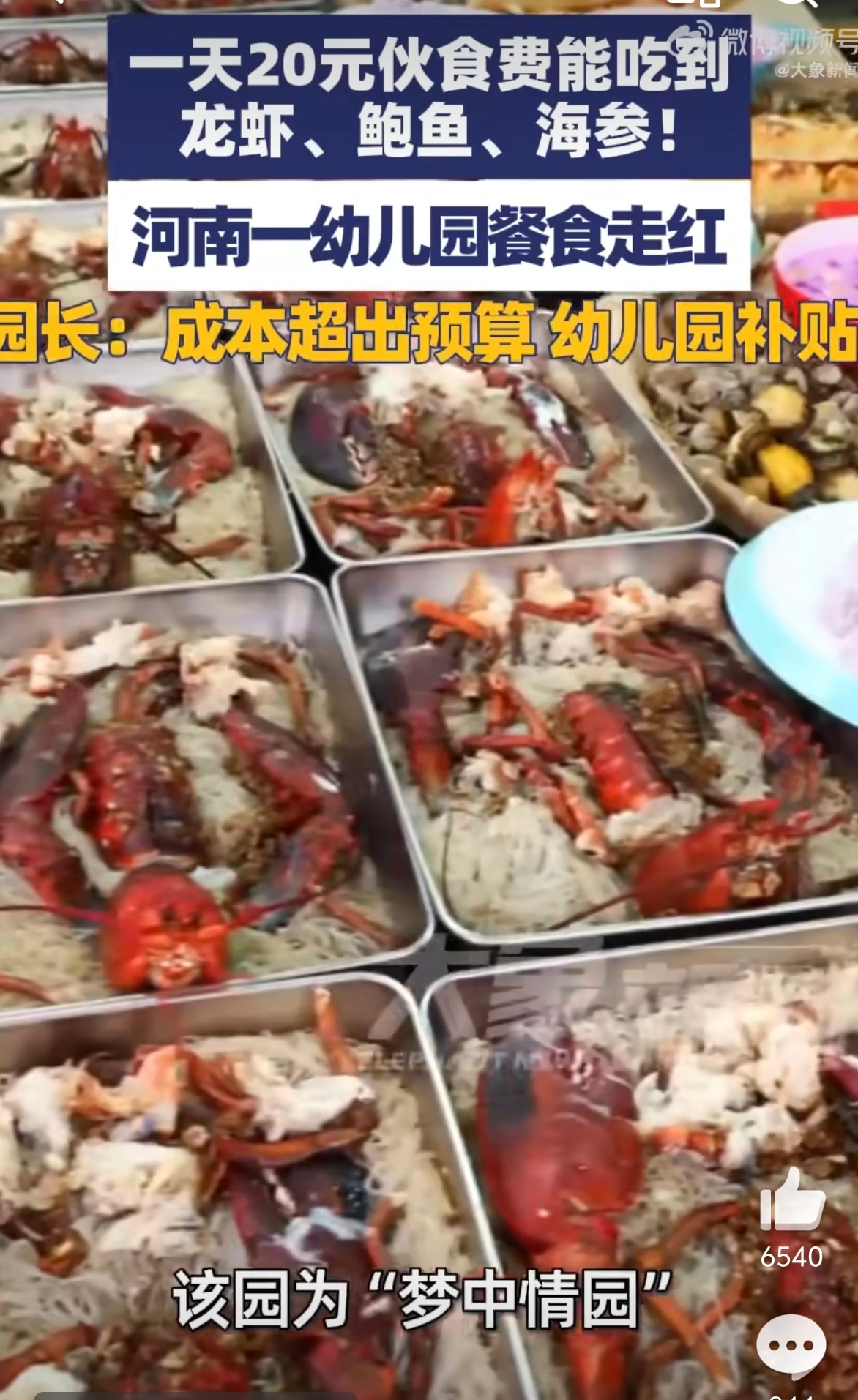 幼儿园回应孩子1天20元吃龙虾鲍鱼 建议加大传播建议普及！希望这样的“梦中情园”