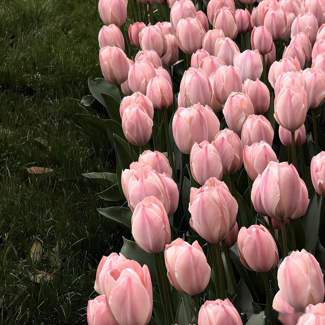 12星座「懒的最高境界」：

白羊：懒得解释，爱咋咋地
金牛：能躺着绝不坐着，能