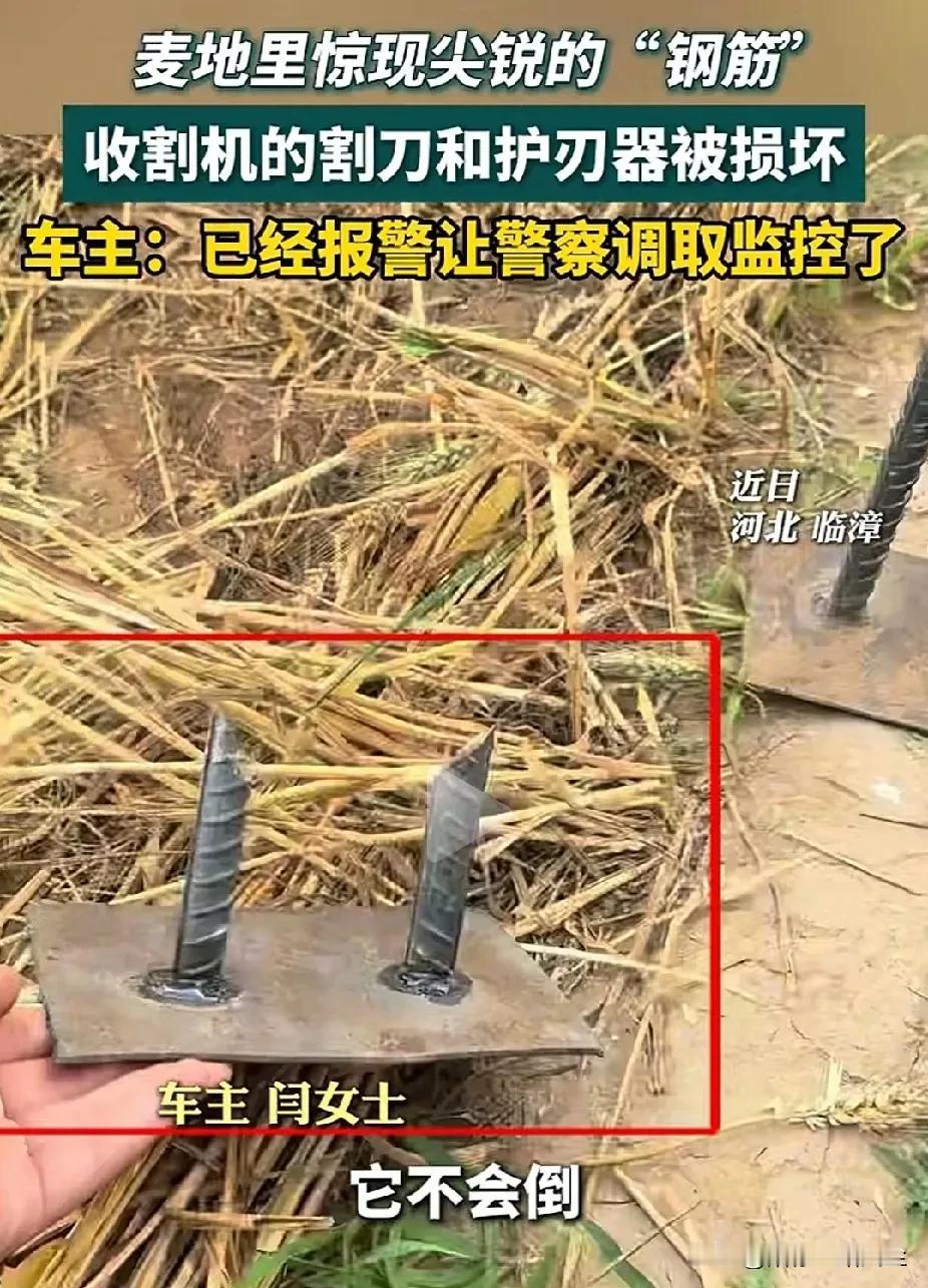 “坏得冒烟”！河北女子在麦地里发现尖锐钢筋，致收割机的割刀和护刃器均损坏，怀疑人