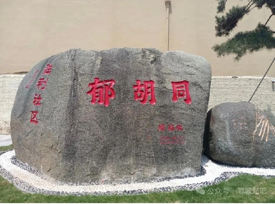 郓城县郓州街道郁家胡同村


明洪武四年(1371年)郁氏祖德选从山西省洪洞县迁