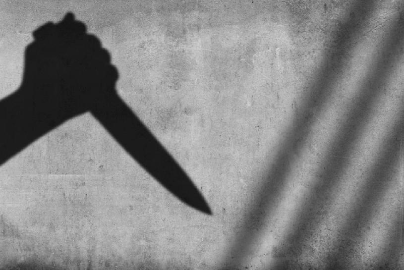 日本大阪府和泉市发生骇人双尸命案。一对母女被发现倒毙于家中，两人身上均有超过十处