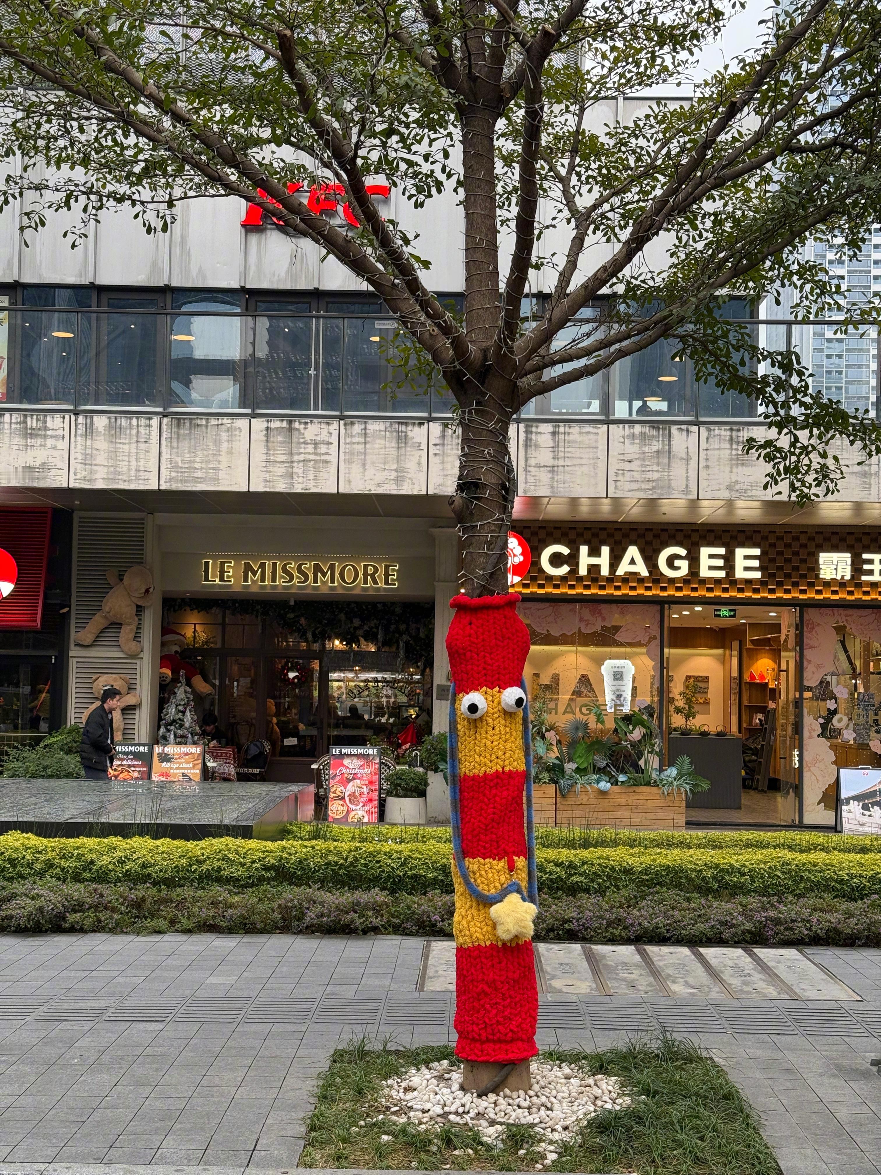 哇，公司楼下给树穿了新装，这个冬季被暖到了。[哇] 