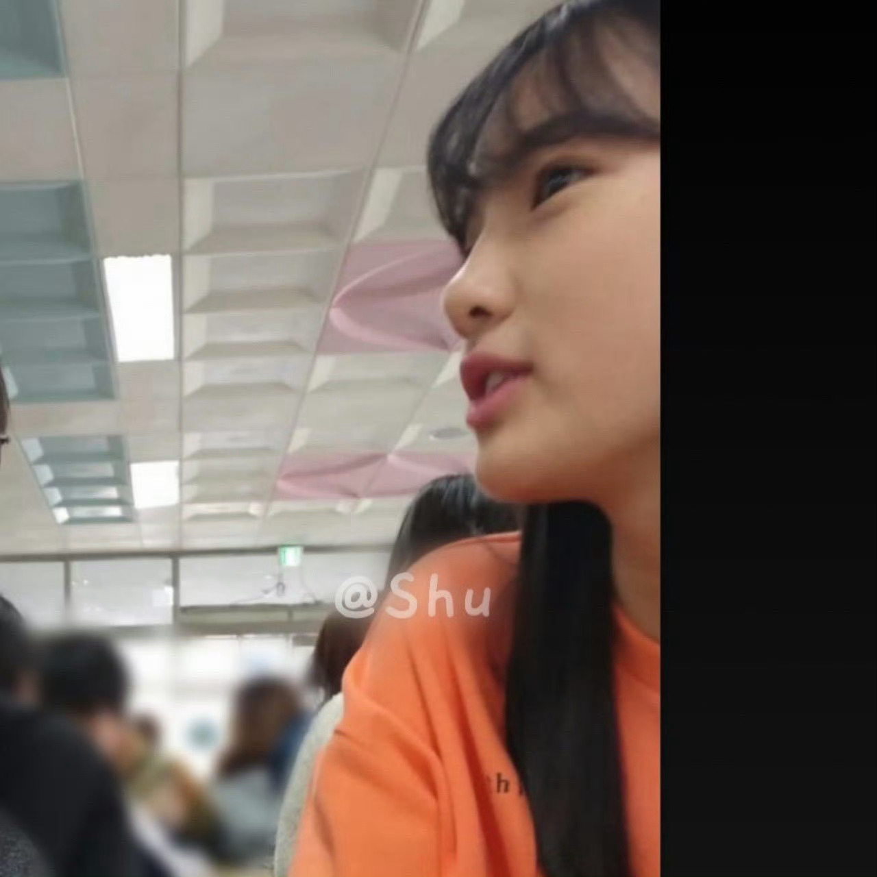 小土狗还有新图我不行了呀 