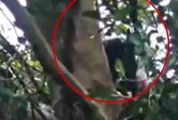 微博知名博主 深圳一男子登山时摔下山崖，被树杈接住后昏迷，游客路过捡到手机，抬头