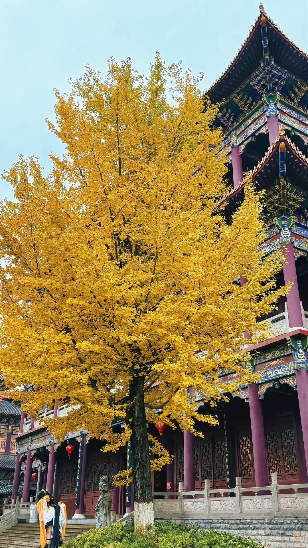 上联：看世界繁华，求下联知岁月枯荣