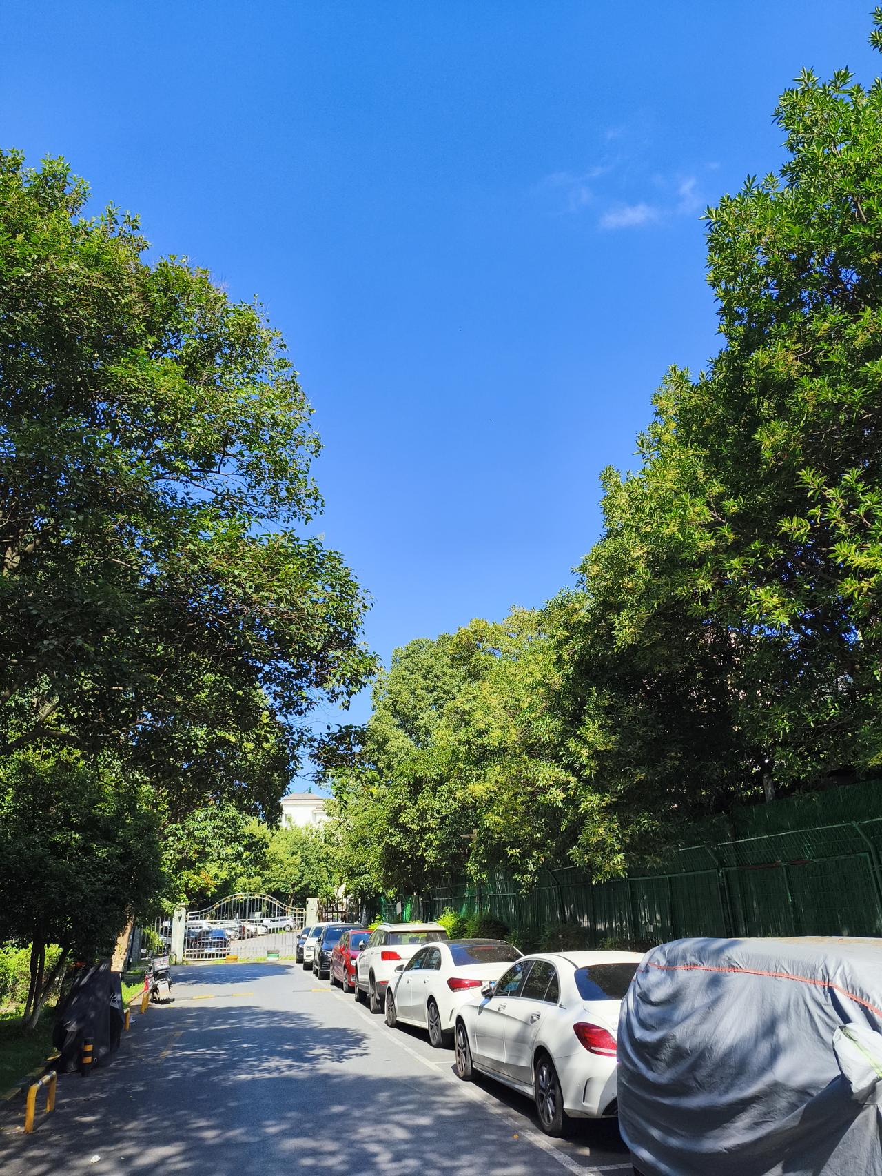 南京这两天的天气真的够意思，一方面是梅雨天的高温，另外台风“巴威”步步逼近。这两