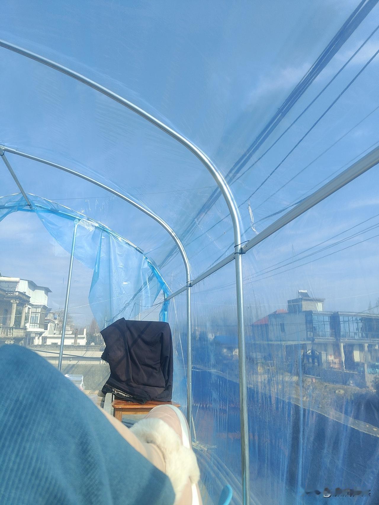 今天的风真大，有点担心我的棚子会不会被吹倒[流泪]