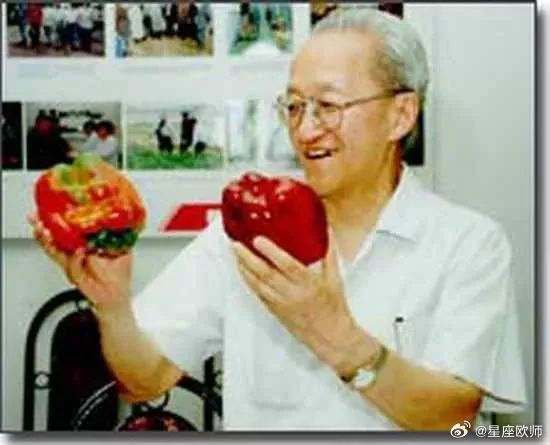 如果您刷到了，请您停留3秒钟，向杨嘉墀：情系九天追星人致敬！随手点赞！献上一朵花