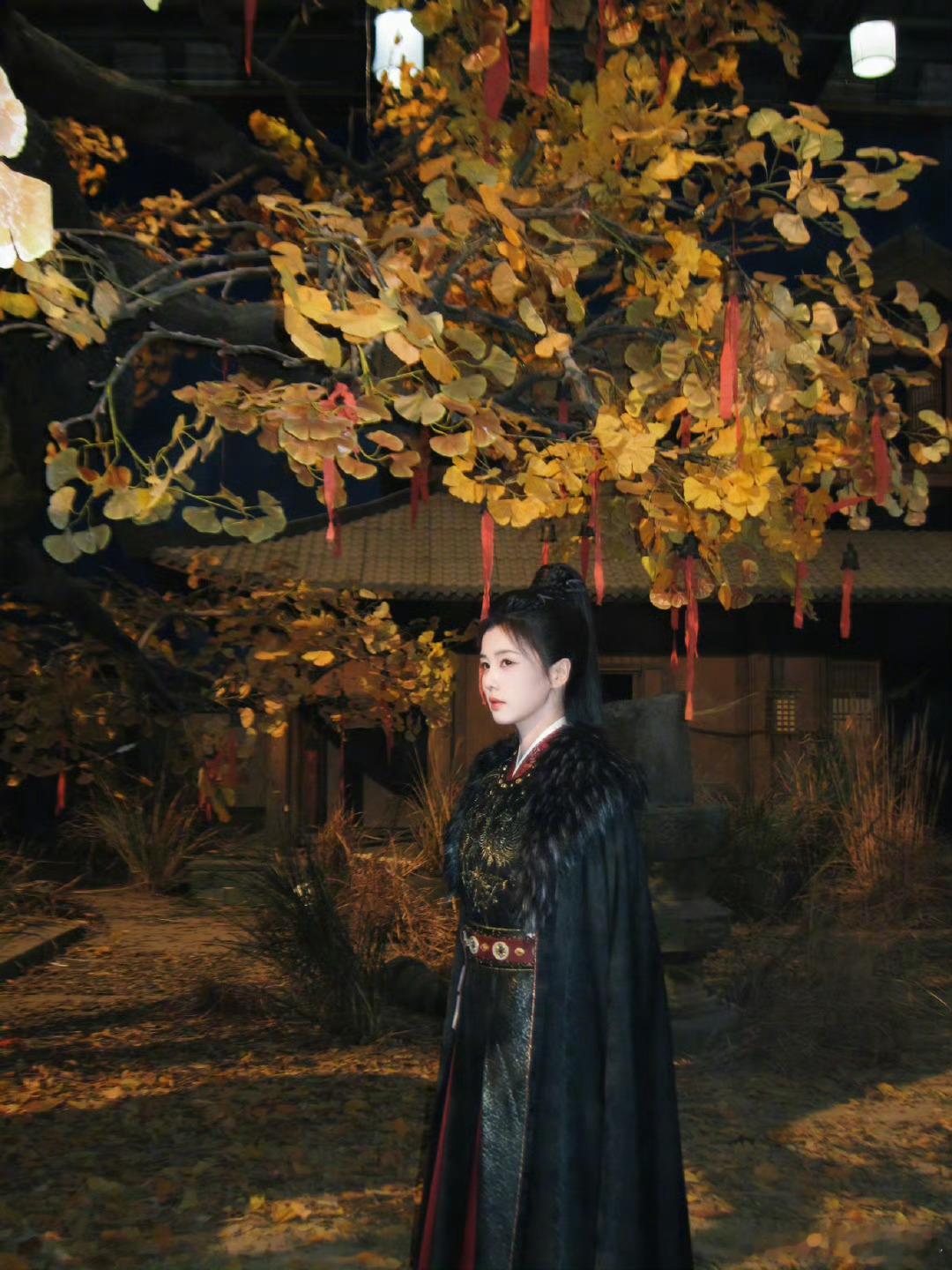 白鹿《唐宫奇案》2月5号央八上星！网传2月4号网播，古装探案剧能上星真的意外之喜