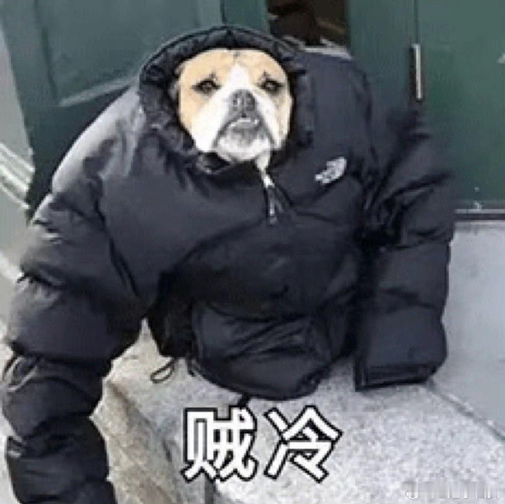 新的周一新的开始是不是全国都降温啦？冷🥶冷[揣手]冷[跪了] ​​​
