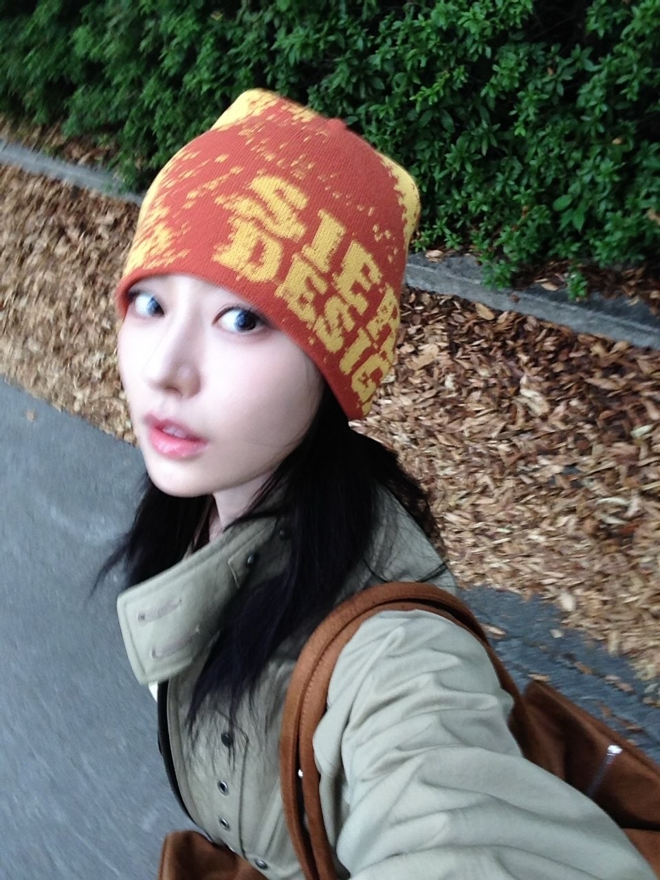 申涩琪🍂 