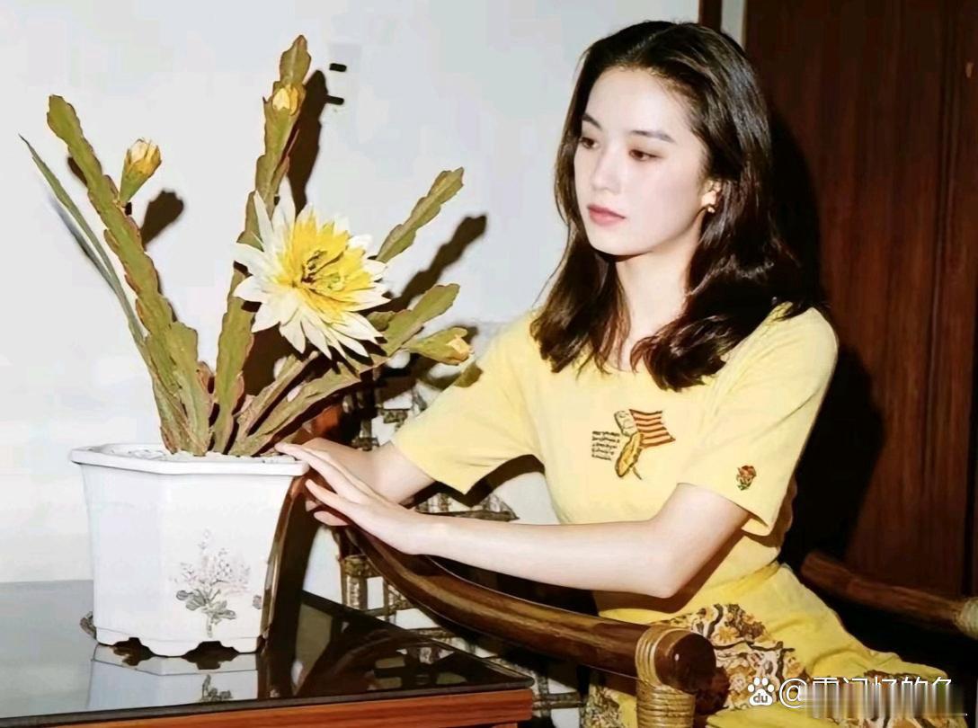 年轻时的林青霞眉眼风华兼备，英气温婉融为一体，绝代容颜惊艳时光。